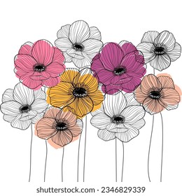 Doodle flower background, colored poppy and  anemone on white color 