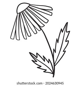 Doodle flower branch, cute and unusual bud, can be used to decorate postcards, business cards or as an element for design