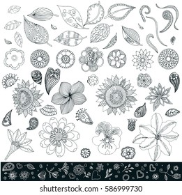Doodle flower collection 