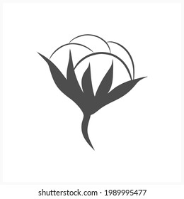 Doodle flower cotton icon isolated on white. Kids hand drawn art. Vector stock illutration. EPS 10