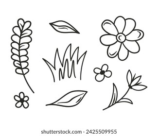 Doodle flower elements. Spring vector illustration with flowers, leaf, ornament and nature decoration. Hand drawn plants