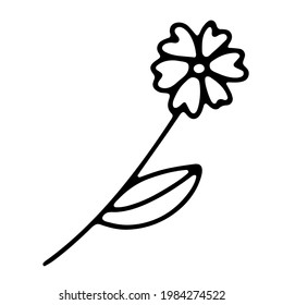 Doodle flower. Hand-drawn plant isolated on white background. Flower with leaves and petals in the shape of a heart. Vector love illustration for interior, gardening, holiday, Valentines Day, wedding