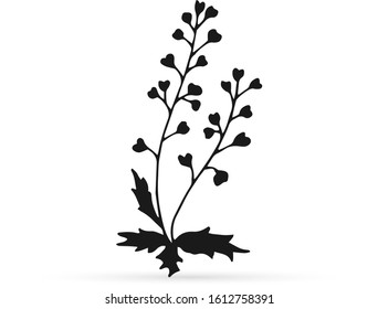 doodle flower icon, eco logo, outline hand drawing line art shepherds bag for eco design, sketch flower, vector stock illustration