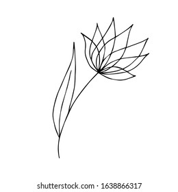 Doodle flower icon lotus.  Flat design, thin line style.