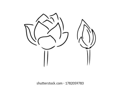 Doodle flower lotus set icon isolated on white. Hand drawing line art. Sketch vector stock illustration. EPS 10