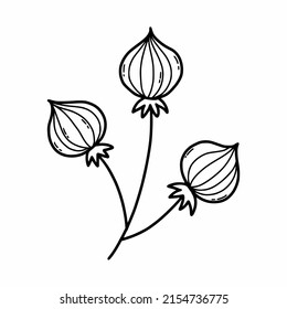 Doodle flower on white background. Vector illustration with  plant. Coloring book for kids. Postcard design.