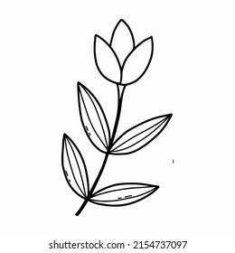 Doodle flower on white background. Vector illustration with  plant. Coloring book for kids. Postcard design.
