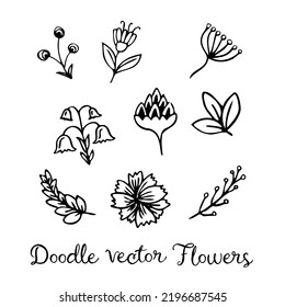 Doodle flower set. Hand drawn line sketch floral collection