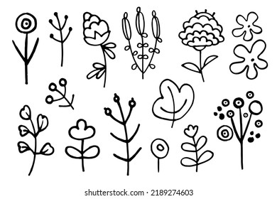 Doodle Flower Set. Vector doodle grass branch, berry, inflorescence, black and white drawing, sketch.