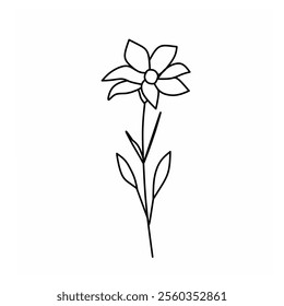 Doodle flower in white background. Line art botanical vector design. Hand drawn flower illustration 