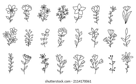 Doodle flowers and branches collection hand drawn outline vector illustration.