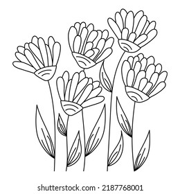 Doodle flowers coloring page. Hand drawn vector sketch.