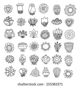 Doodle flowers set. 