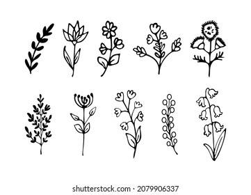 Doodle flowers set. Hand drawn floral elements for greeting cards, wedding invitations, poster design etc. Vector illustration on isolated background.