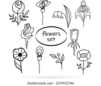 doodle flowers set icon isolated on white, outline kids hand drawing line art camomole, rose for eco design, coloring sketch collection, flower vector stock illustration