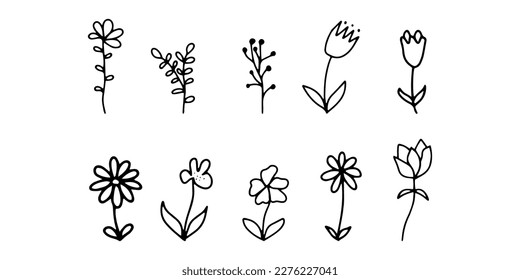 Doodle flowers. Set with outline flora , simple shapes. Vector illustration isolated on white background