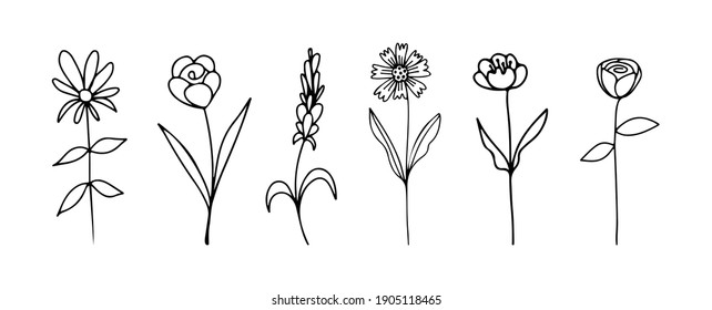 Doodle flowers set. Vector collection of botanical sketches for wedding invitations, birthday cards, March 8.