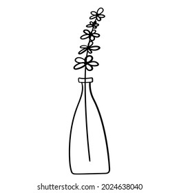 Doodle flowers in a vase of an unusual shape, indoor plants