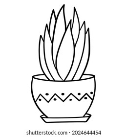 Doodle flowers in a vase of an unusual shape, indoor plants