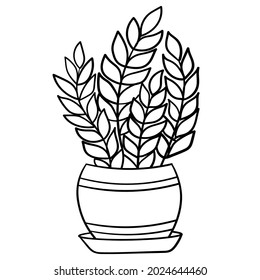 Doodle flowers in a vase of an unusual shape, indoor plants