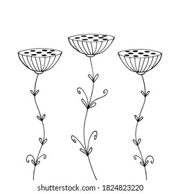 Flores de perro. Ilustración blanca dibujada a mano por vectores. Resumen Las flores insólitas son adecuadas para una decoración festiva.