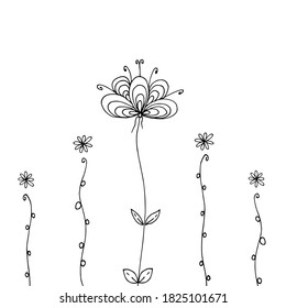 Flores de perro. Ilustración blanca dibujada a mano por vectores. Resumen Las flores insólitas son adecuadas para una decoración festiva.