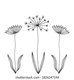 Flores de perro. Ilustración blanca dibujada a mano por vectores. Resumen Las flores insólitas son adecuadas para una decoración festiva.