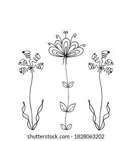 Doodle flowers. Vector hand drawn black white illustration. Abstract unusual flowers are suitable for festive decor.