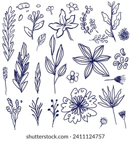 Doodle of foliage white background