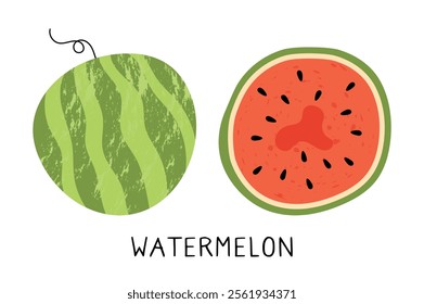 Doodle food. Fresh watermelon. Half and whole fruit. Vegetarian snack. Natural product piece with seeds. Juicy melon. Summer sweet dessert. Green peels. Tropical meal. Round shape. Vector illustration