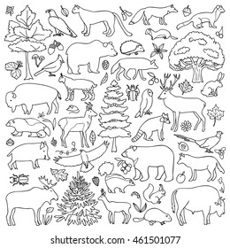 Doodle Forest Animals and Plants Coloring Page