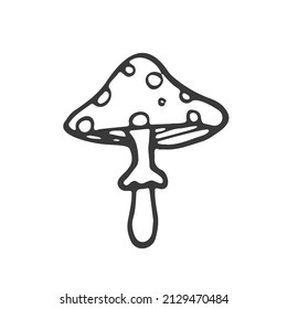 Doodle forest mushroom. Hand drawn sketch line art, vector illustration isolated on white background, gray line art, nature sketch