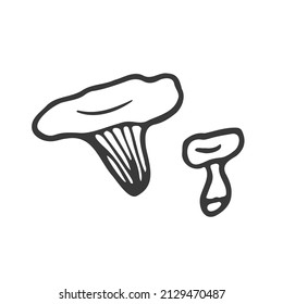 Doodle forest mushroom. Hand drawn sketch line art, vector illustration isolated on white background, gray line art, nature sketch