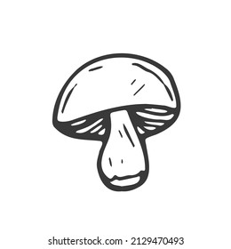 Doodle forest mushroom. Hand drawn sketch line art, vector illustration isolated on white background, gray line art, nature sketch