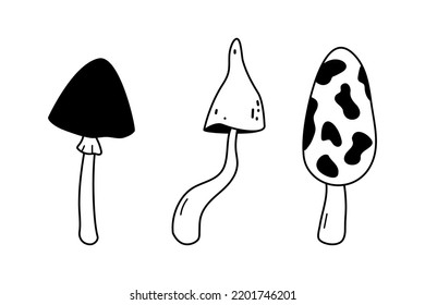 Doodle forest mushrooms collection. Hand drawn sketch linear vector illustration. Black fungus, line art forest plant isolated on white background. Edible and non-edible mushrooms