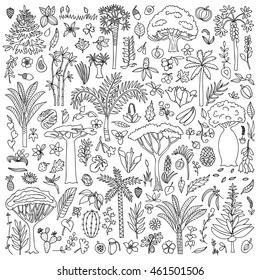 Doodle Forest Set. Woodland elements and objects