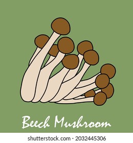 Doodle freehand sketch drawing of beech mushroom vegetable. Healthy diet lifestyle concept.