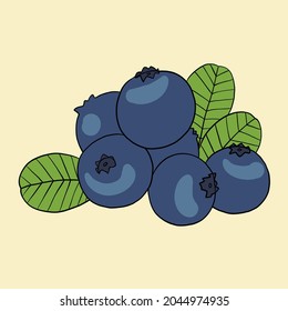 Doodle freehand sketch drawing of blueberry fruit. Healthy diet lifestyle concept.