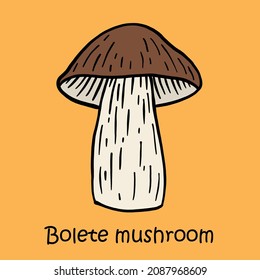 doodle freehand sketch drawing of bolete mushroom. healthy diet lifestyle concept.