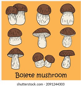 doodle freehand sketch drawing of bolete mushroom collection. healthy diet lifestyle concept.