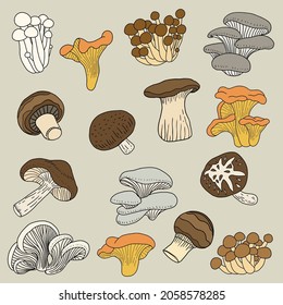 Doodle freehand sketch drawing collection of mushroom vegetable. Healthy diet lifestyle concept.