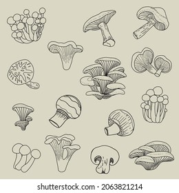 Doodle freehand sketch drawing collection of mushroom vegetable. Healthy diet lifestyle concept.