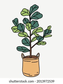 Doodle freehand sketch drawing of fiddle leaf fig tree. Vector illustration.