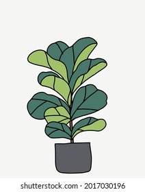 Doodle freehand sketch drawing of fiddle leaf fig tree. Vector illustration.