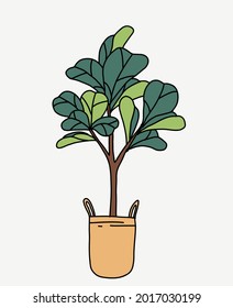 Doodle freehand sketch drawing of fiddle leaf fig tree. Vector illustration.