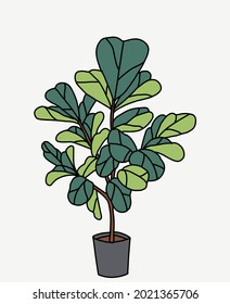 Doodle freehand sketch drawing of fiddle leaf fig tree. Vector illustration.