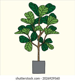 Doodle freehand sketch drawing of fiddle leaf fig tree. Vector illustration.	
