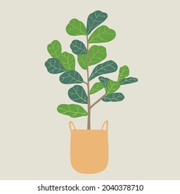 Doodle freehand sketch drawing of fiddle leaf fig tree. Vector illustration.