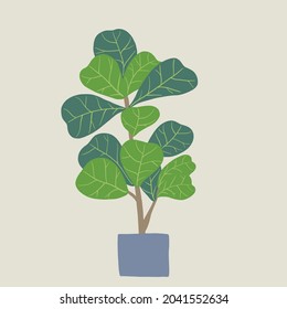 Doodle freehand sketch drawing of fiddle leaf fig tree. Vector illustration.