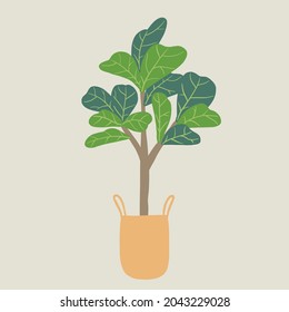 Doodle freehand sketch drawing of fiddle leaf fig tree. Vector illustration.